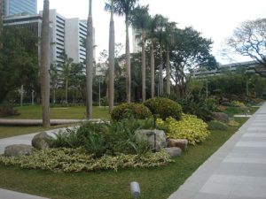 Ayala triangle gardens