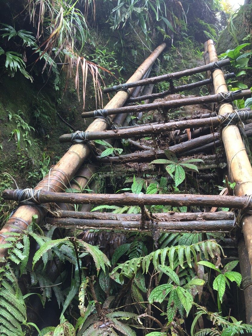 Mt. Makiling trail bamboo ladder