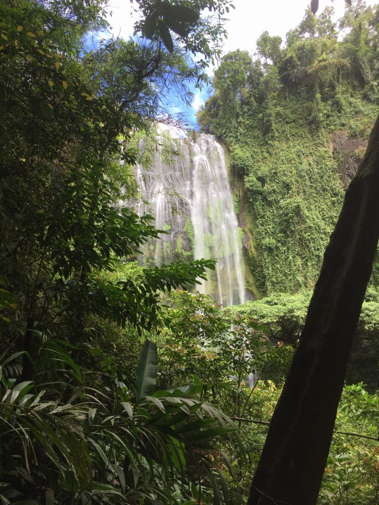 A view of Hulugan falls through the trees