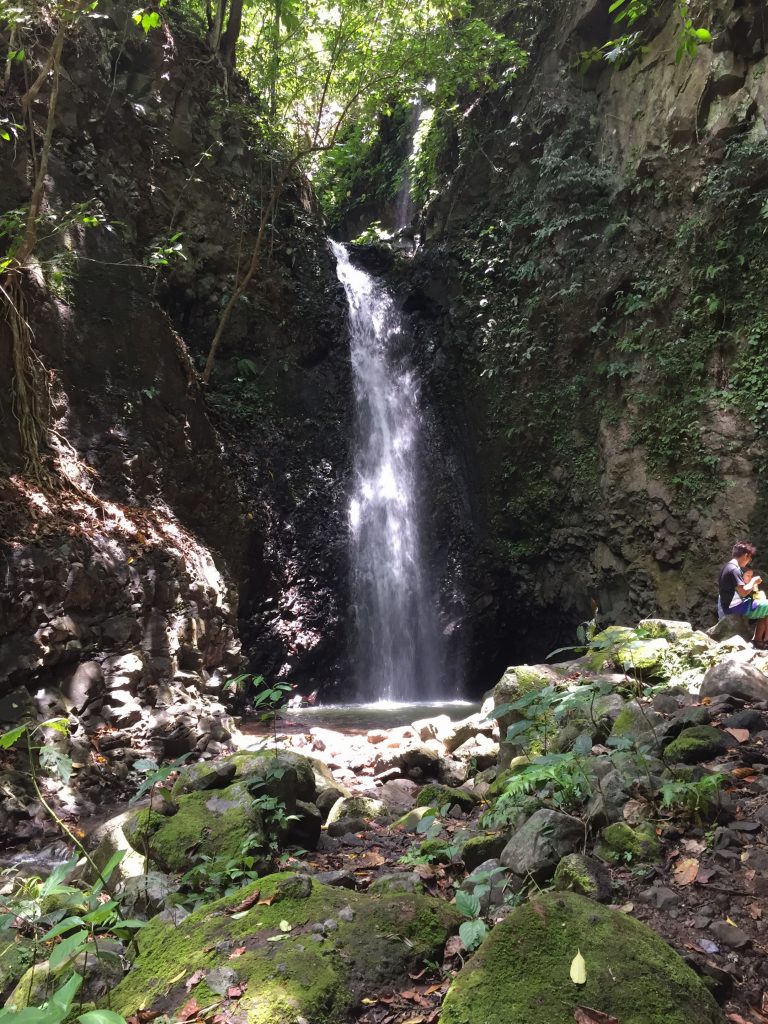 Mt Romelo Lanzones Falls