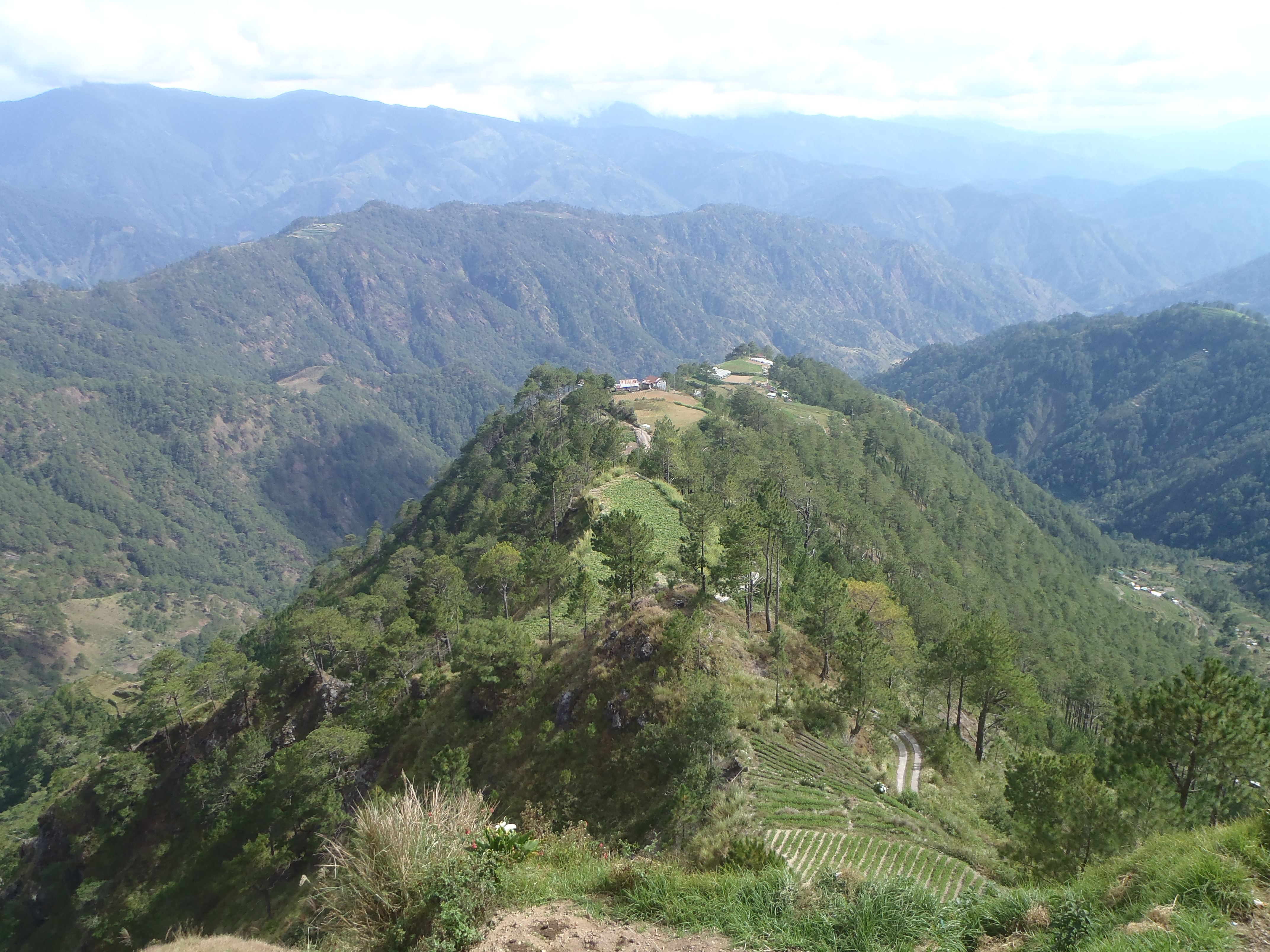 2,500 metres above sea level benguet cordillera philippines