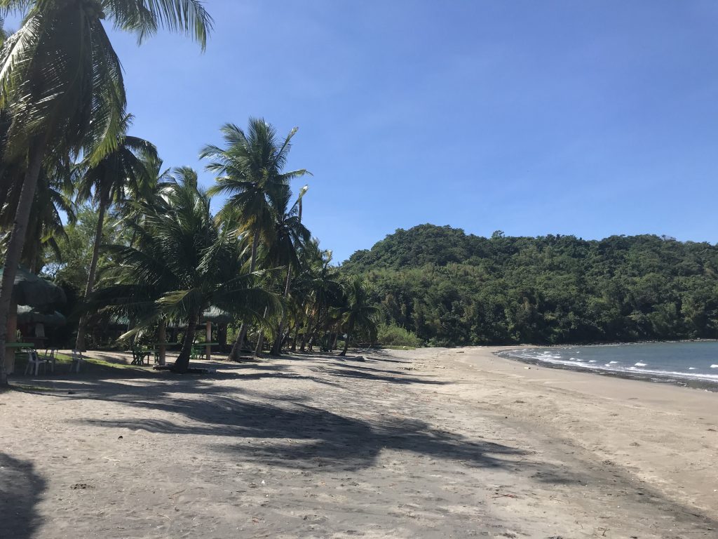 Curving beach lined with palm trees at Paniman Beach, Ternate, Cavite