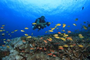 Best Scuba Diving Places In Subic Bay