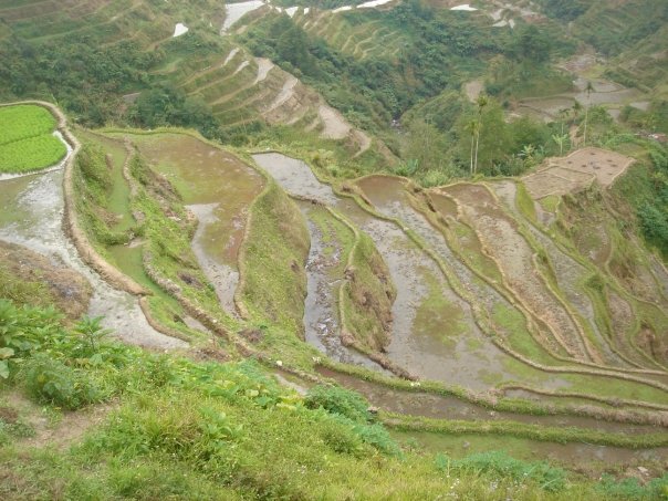 View looking down from the top of the Batad rice terrace showing the water entrapment system
