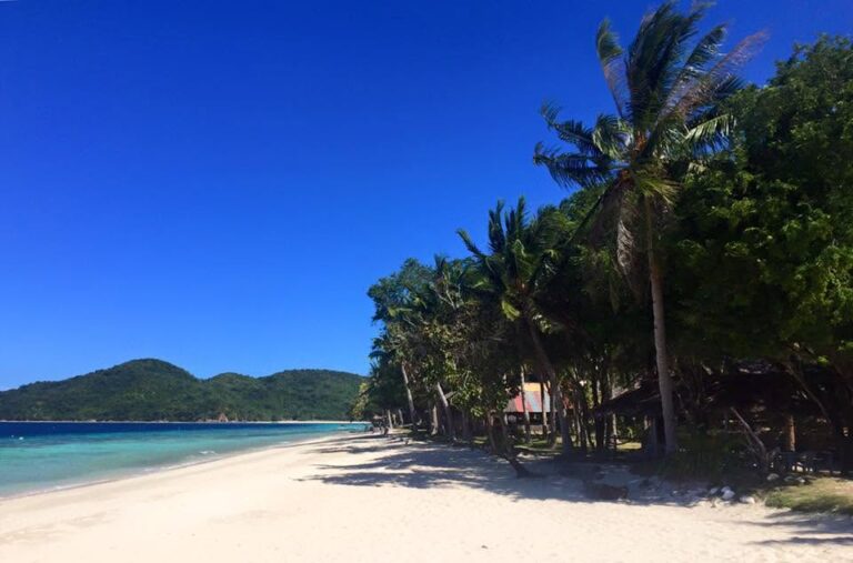 Beach shot of palm trees at Banana Island