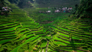 Banaue Rice Terraces