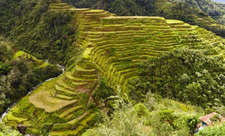 Batad Rice Terraces, wide view across the terraces