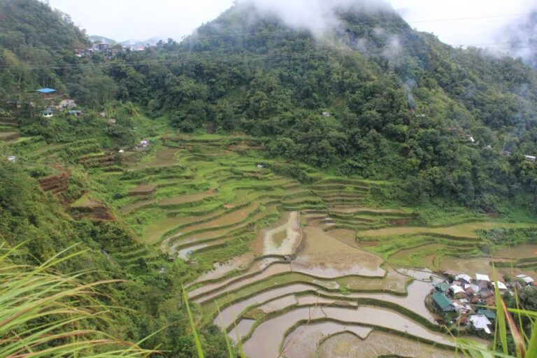 Rice terraces at Bangaan, Ifugao