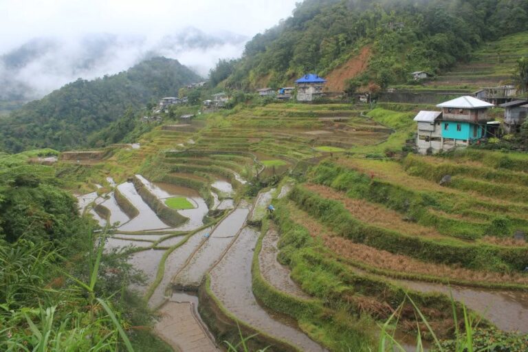 Rice terraces at Batad, Ifugao