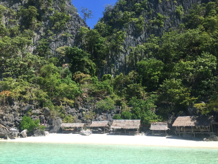 Limestone Cliffs of Beach 91