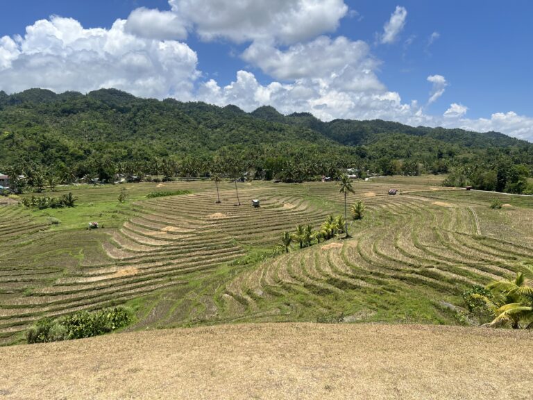 Cadapdapan Rice Terraces in Candijay, Bohol