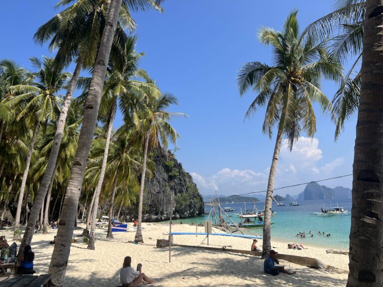 Palm trees at Seven Commandos Beach, El Nido, Palawan