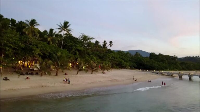 Lio Beach, aerial view of the palm trees