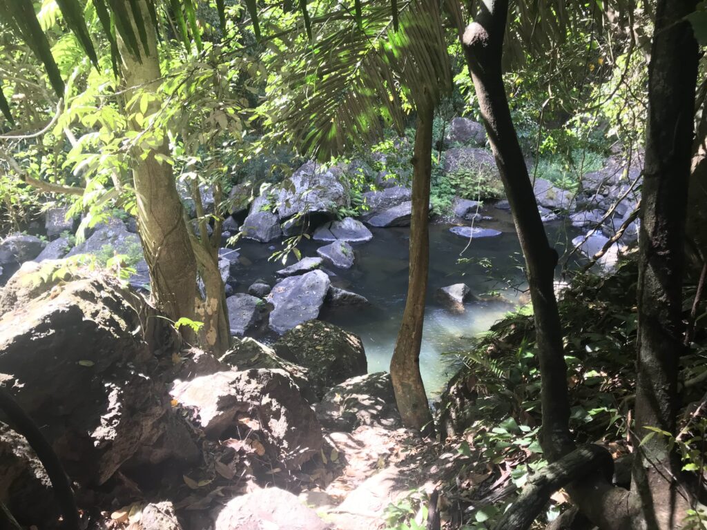 Rocky riverbed among the trees at Malibiclibic Falls, Cavite