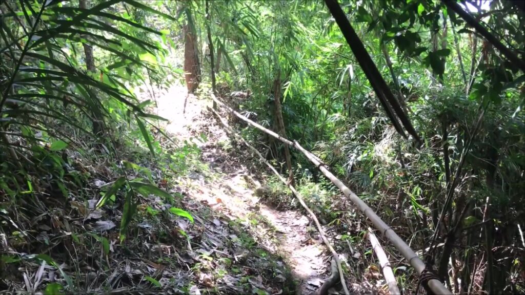 Trail through green vegetation on the walk in to Malibiclibic Falls, Cavite