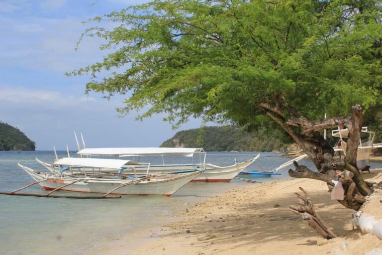 Medio Island, Puerto Galera