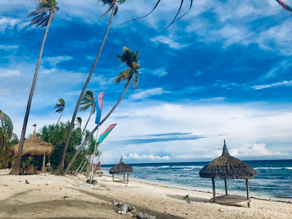 Coco Grove beach front overlooking ocean with palms
