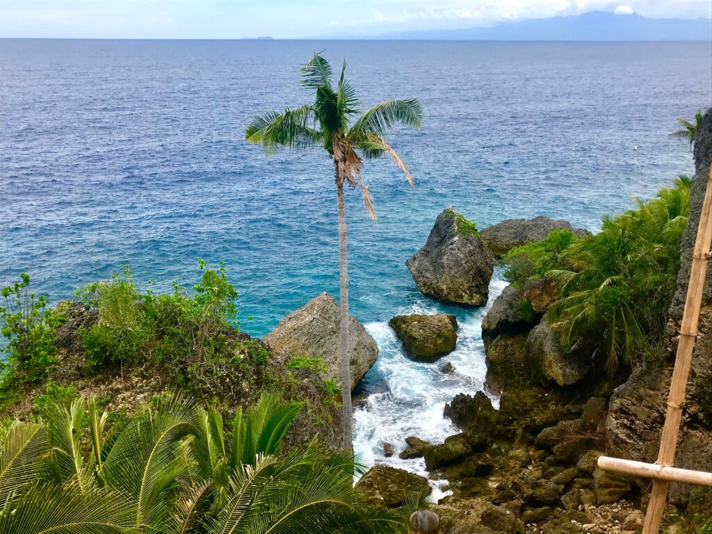 Harmony Bay (Secret Beach) cliff top views
