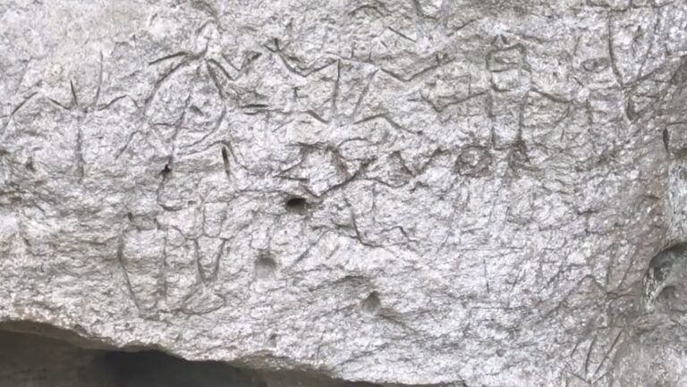 Close-up of prehistoric rock carvings at the Angono-Binangonan Petroglyphs