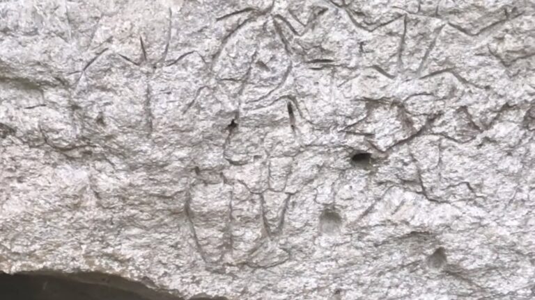 Engraved human-like figures on the rock wall at the Angono-Binangonan Petroglyphs