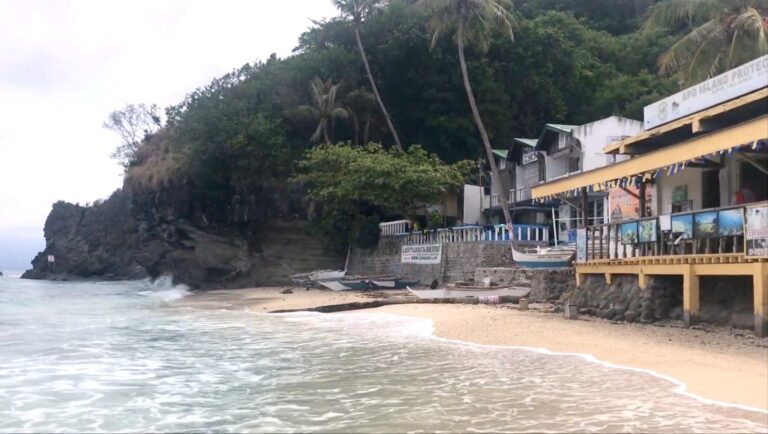Beach lined with dive resorts and outrigger boats on Apo Island