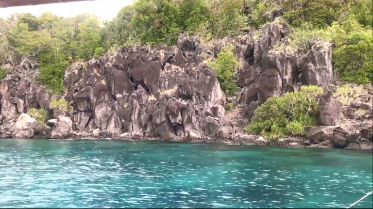 Rocky volcanic coastline and clear water at Apo Island, Philippines