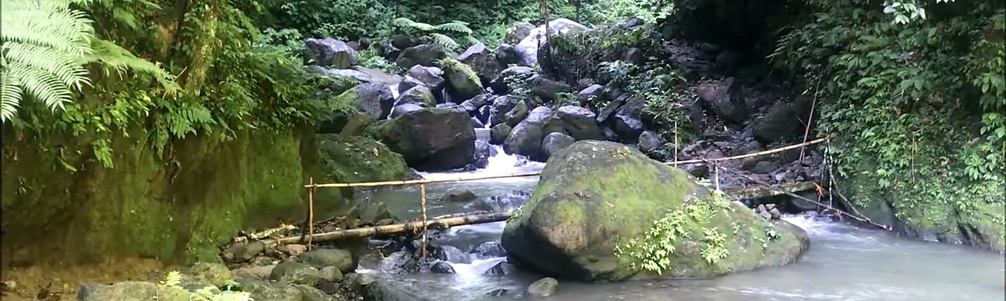 Mossy boulders, ferns and a bamboo footbridge over the stream in the gorge below Casaroro Falls