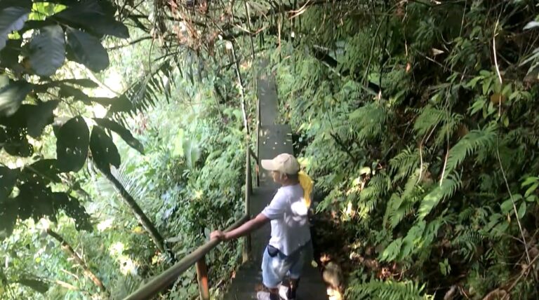 Local guide Tommy waiting on the steps down to Casaroro Falls