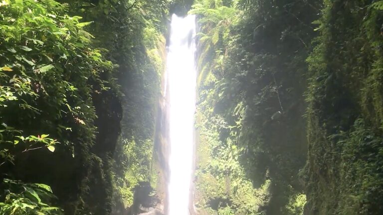Casaroro Falls plunging down a narrow green gorge in Valencia, Negros Oriental