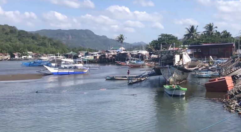 Fishing boats and bancas moored in the harbour at Wawa Port, Nasugbu, Batangas